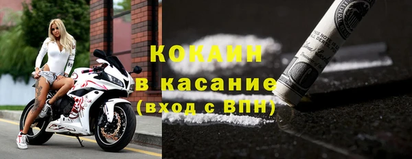 шишки Аркадак