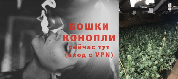 шишки Аркадак