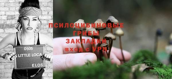 шишки Аркадак