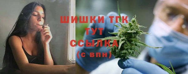 PSILOCYBIN Армянск