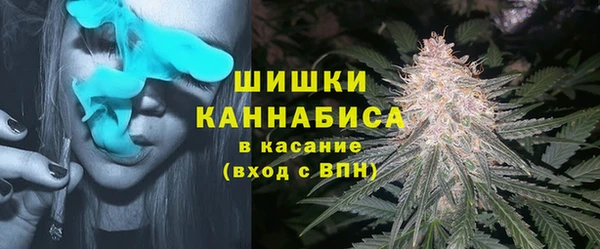 PSILOCYBIN Армянск
