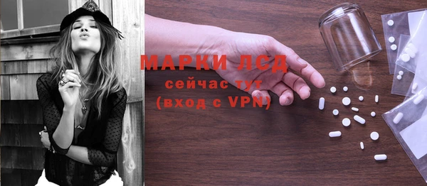 PSILOCYBIN Армянск