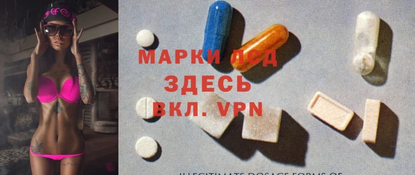 шишки Аркадак