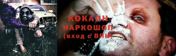 шишки Аркадак
